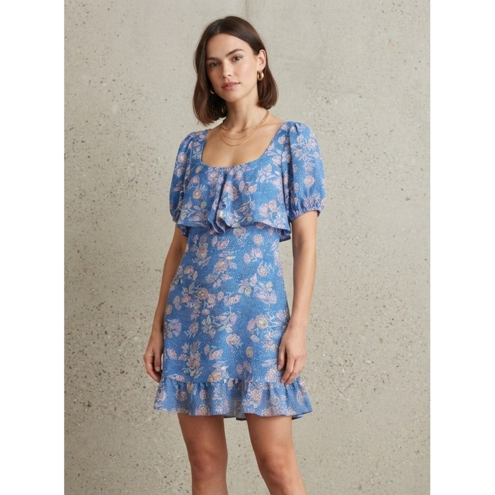 Sienna Sky Floral Ruffle Puff Sleeve Smocked Back Mini Dress Blue Medium